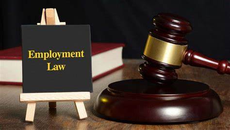 Navigating the Complex World of Employment Law Jobs A Comprehensive Guide